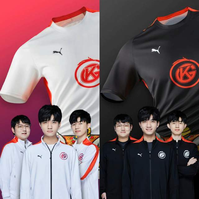 灰熊阵中防 灰熊阵中防